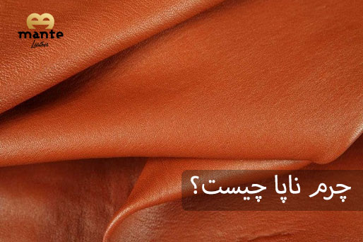 چرم ناپا چیست؟