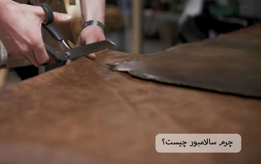 چرم سالامبور