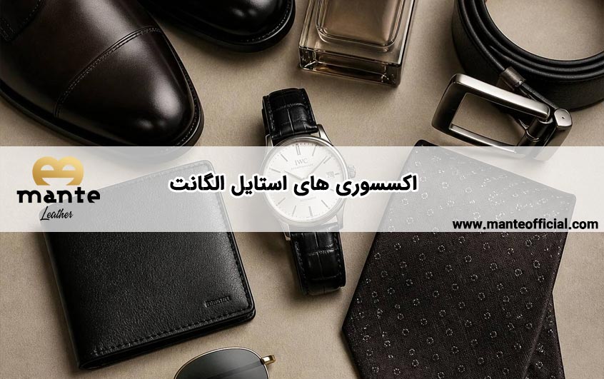 اکسسوری در استایل الگانت