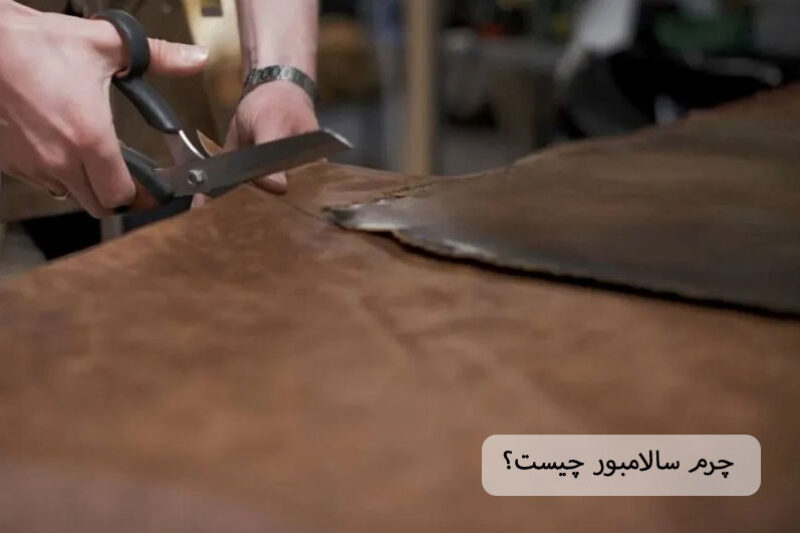 چرم سالامبور