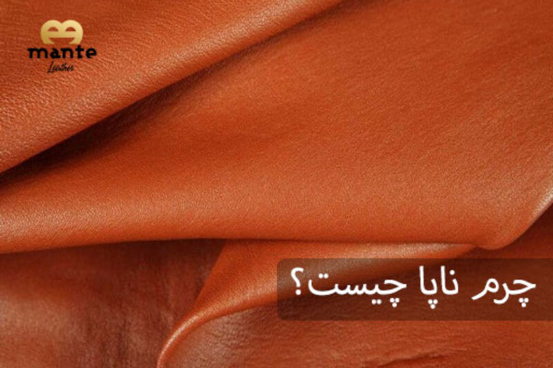 چرم ناپا چیست؟