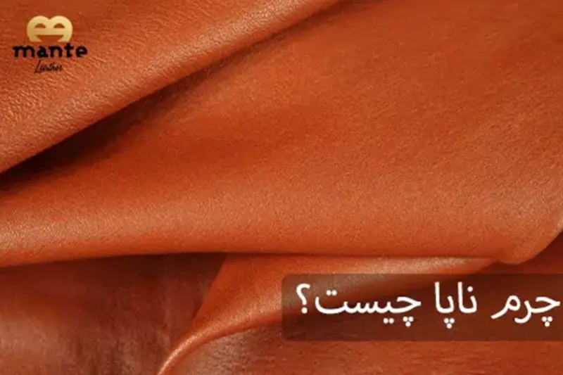 چرم-ناپا-چیست؟